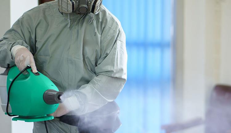 Genel Alan Ve Prosedür Uygulamaları